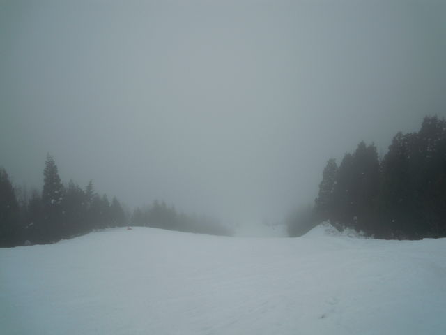 �R�[�X�r���B_�E�C���O�q���Y�������]�[�g