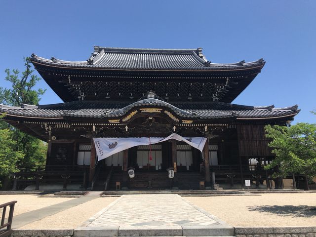 ���c�{�R��C���̍����e��_���c�{�R��C��