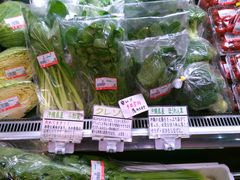 usa̋킵Vbv{Xւ̓eʐ^1