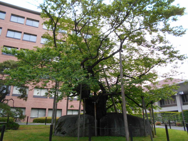 �Ί���_�Ί���