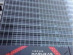 }VĨnJX300ւ̓eʐ^1