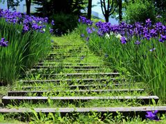 ꂱ̍c삷uˌւ̓eʐ^1