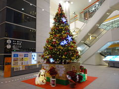 g\̖kd̓GlM[Ȋwفi_[E{jւ̓eʐ^1