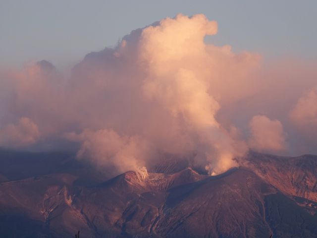 �[�Ă��ƕ���_�V�h�̋u�W�]����