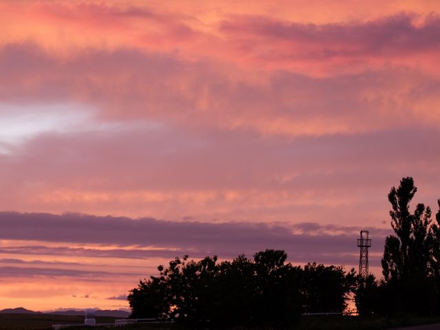 �[�Ă�_�V�h�̋u�W�]����