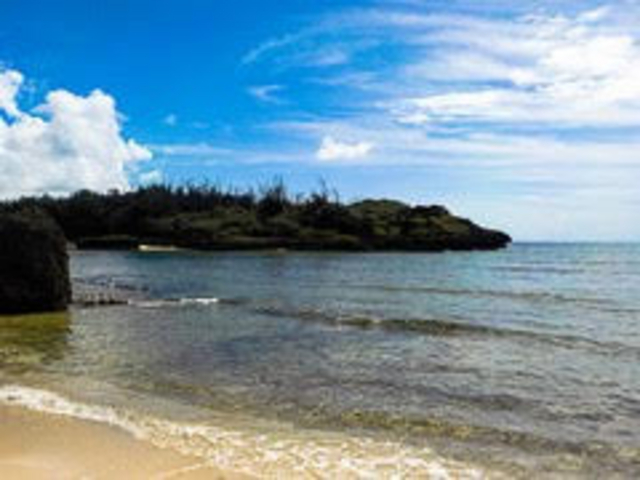 �z�e���̃r�[�`�ł͑̌��ł��Ȃ�����̊C�̖{���̔�����������������Ŋy���߂܂����B_feelokinawa