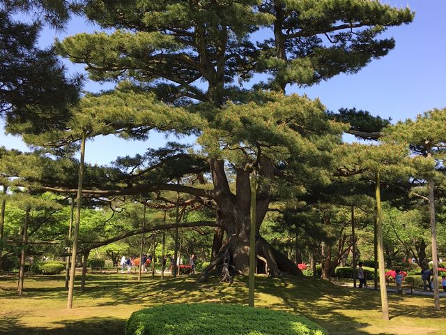 �����̏�_�����̏��i���Z���j