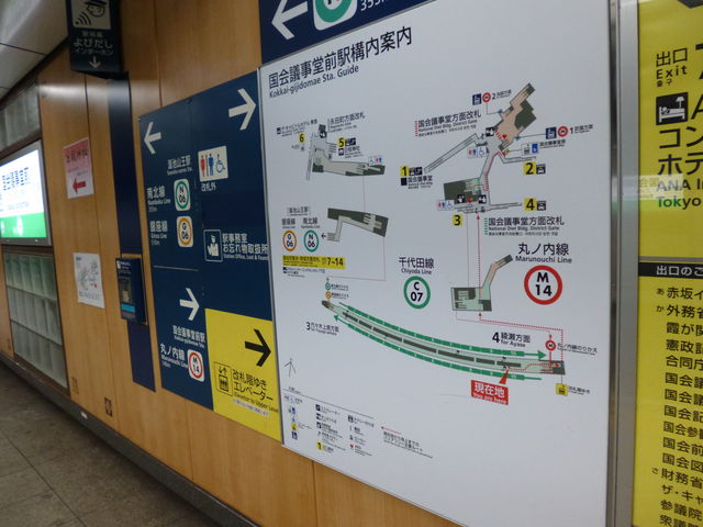 ��╡�G�ȏ�芷���ł�_�������g�����c�� ����c�����O�w