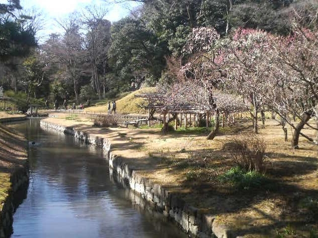 ��y���̔~_��y���̔~