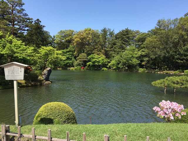 �����r_�����r(���Z���j