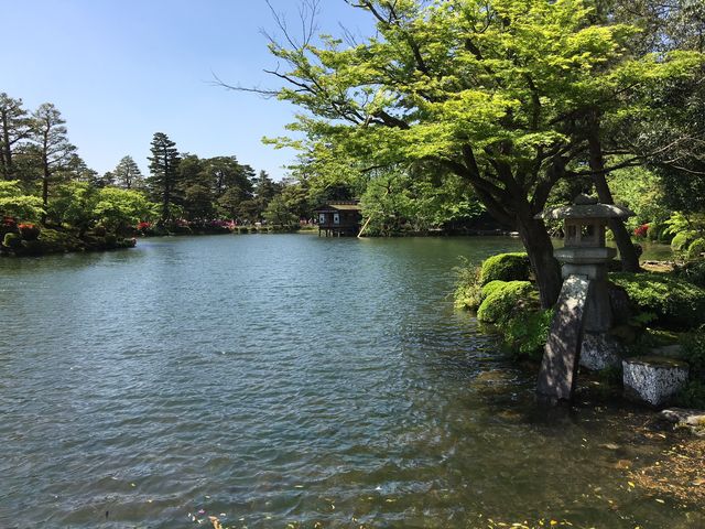 �J�f���ĂƉ����r_�����r(���Z���j