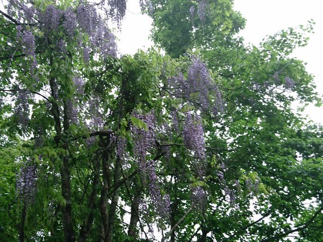 yko̘axiHcksj̓eʐ^1