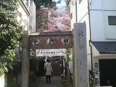 Ƃ񂳂̖k_ЁiV_jւ̓eʐ^1