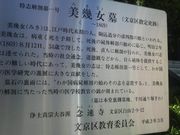 ���Ƃ��񂳂�̔��􏗕�i�O�����j�̓��e�ʐ^1