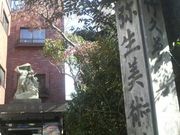 Ƃ񂳂̖퐶pق̓eʐ^1