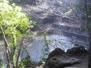 Ƃ񂳂̈瓿SriOlYrj̓eʐ^1