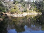 Ƃ񂳂̈瓿SriOlYrj̓eʐ^2