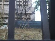 Ƃ񂳂̂̐L˂̓eʐ^2