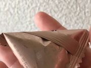 ₳Okura House̓eʐ^1