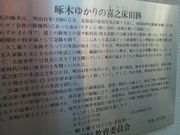 Ƃ񂳂̐ΐ؊VՂ̓eʐ^3