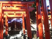 Ƃ񂳂̎@E򑠎iׂ̓eʐ^5