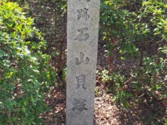 �j�ՐΎR�L�˂̔�B_�ΎR�L��