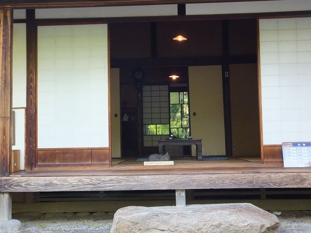 �����̗l�q_�Ėڟ��΋����Ձi�L�̉Ɓj