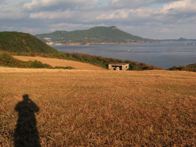 �C������ŕ��˓�_��������