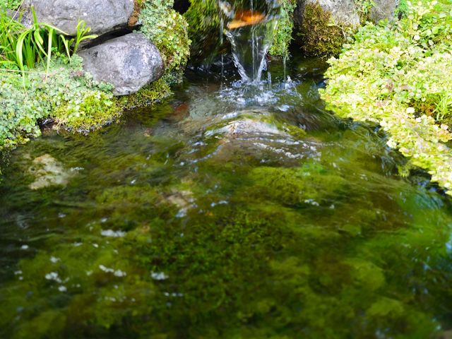 【竹田湧水群】アクセス・営業時間・料金情報