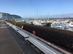 񂳂̉Ou܂`ȁvւ̓eʐ^1