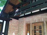 poporon̓숢h̐ƕ̃pH[ ߂邱̓eʐ^2