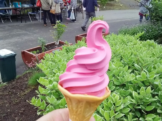 �o���̃\�t�g�N���[���B�R�O�O�~�B_�����b�c���[�Y�J���g���[