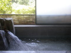 �͂��ԁ[����̗��R����@�l�G�ʂ̓��ւ̓��e�ʐ^1