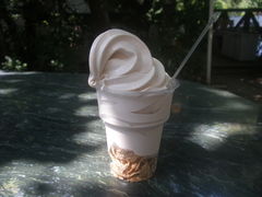 ͂ԁ[̖؂̉ԃKeւ̓eʐ^1