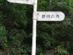 ��������̖���̑�ւ̓��e�ʐ^1