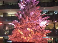 ςς݂KITTEۂ̓ւ̓eʐ^1