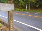 X}C̓CRiF?hRj̓eʐ^1