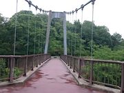 �܂�܂���̍]���΂̓��e�ʐ^1