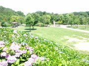 ۂۂ̓̉wƂ̋EHg쑍̓eʐ^3