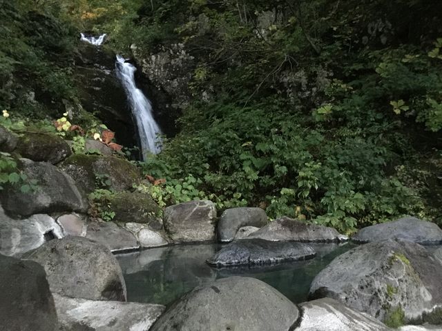 �ꌩ�̘I�V���C_��ȉ�����