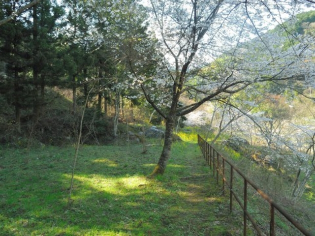 _ChKXg̖̐XLv̓eʐ^1