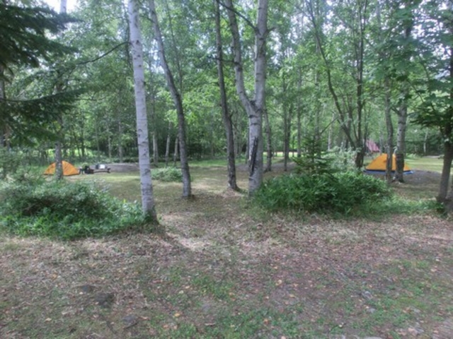 _ChKXg݂̍ʂтc̓eʐ^1