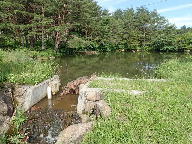 �ʎR���������