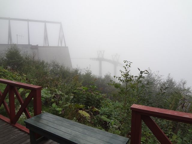 �_�C�̒��H_���샊�]�[�g�@�g�}�� �_�C�e���X