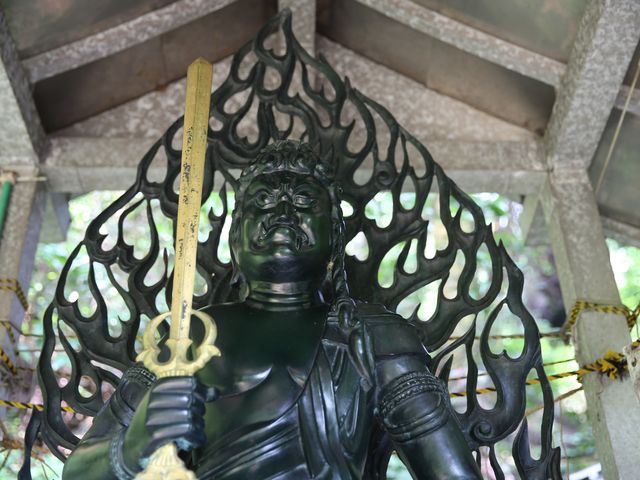 �{�������\������36�Ԃ̕s������_���{�R�@�{����