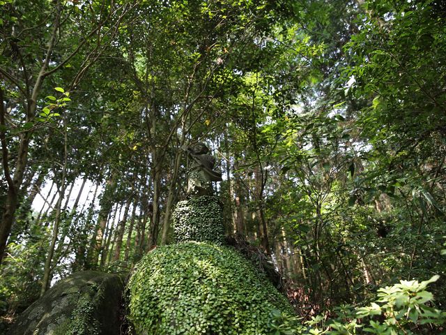 �{�������\������_���{�R�@�{����