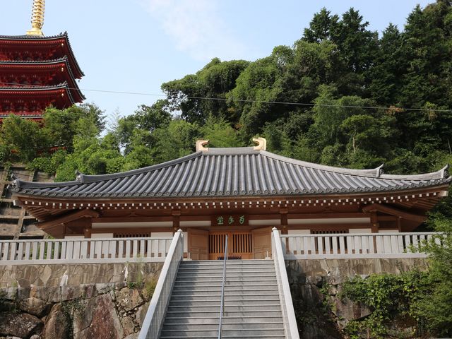 ����100���N�Ɍ������ꂽ
�S�N��_���{�R�@�{����