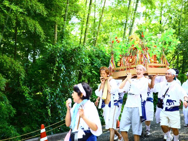 �V���݂̂����Ղ�_���{�R�@�{����