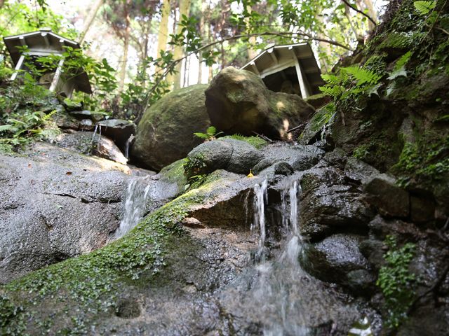 ���Â̐̂�藬���{�����̗N�����̑�_���{�R�@�{����