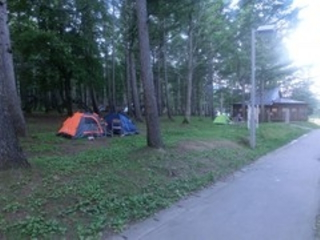 �T�C�g_�����鎩�R�̑�